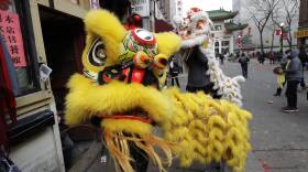 Two groups of lion dancers perform on a sidewalk with a Chinese gate behind them.