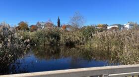  Looking west from the footbridge in Riverside Park offers a view of a small pond and St. Anthony of Padua Church in New Bedford's North End. The city and a nonprofit partner plan to turn this pond into a salt marsh.