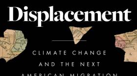 The Great Displacement book cover