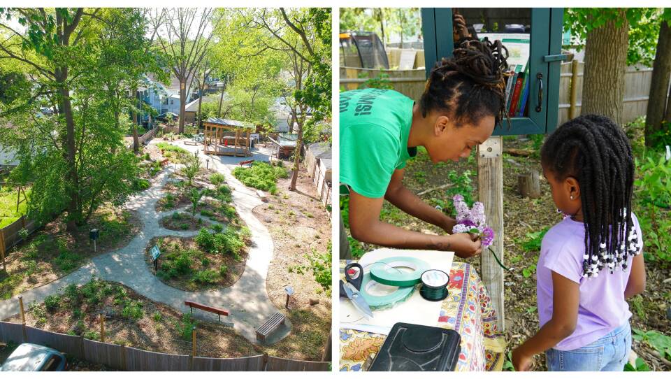 Food forest in Boston 2