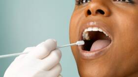 Person putting DNA test swab into woman's mouth, close up, studio shot