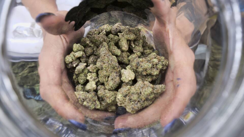 A person holds up a jar of cannabis flower.