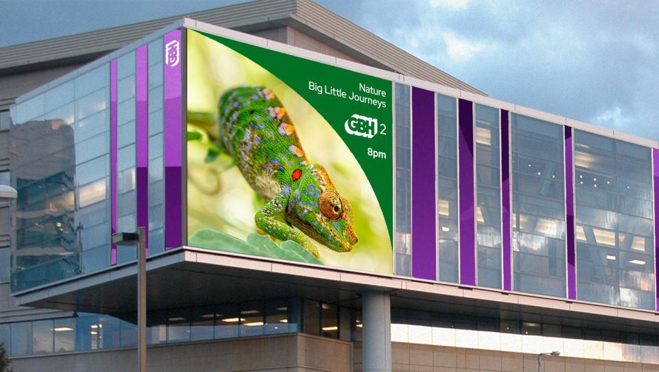 Photo of a chameleon; Text: Nature; Big Little Journeys; GBH 2; 8pm