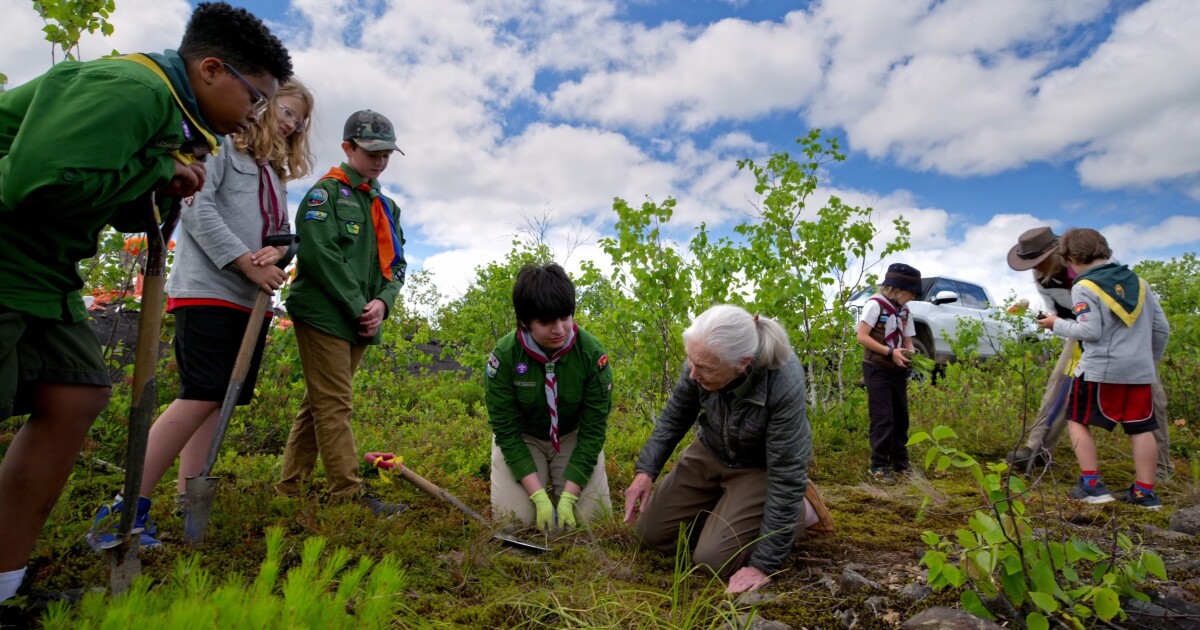 Despite environmental challenges, Jane Goodall says there are reasons for hope Despite environmental challenges, Jane Goodall says there are reasons for hope