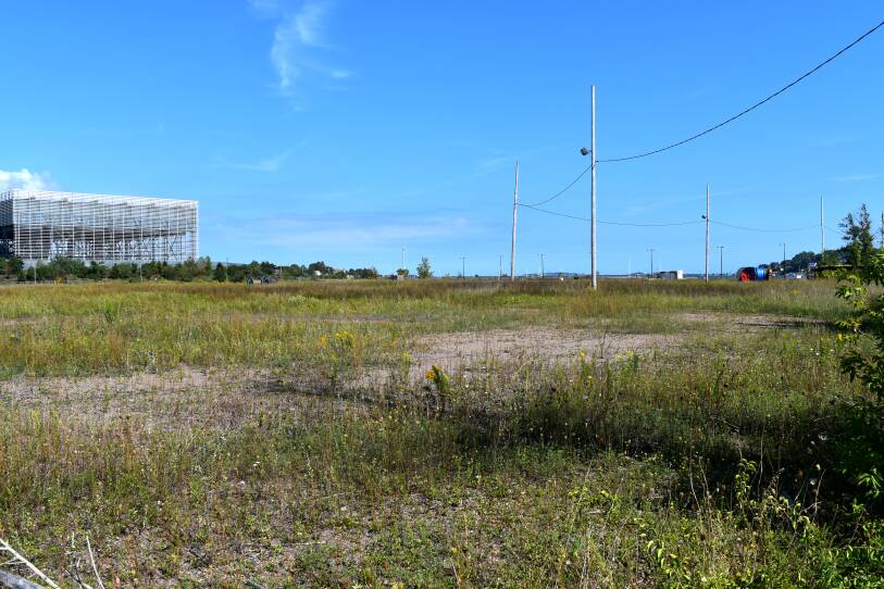A plain, overgrown grassy lot and telephone poles on a day with clear blue skies.