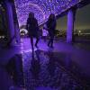Two people in winter coats walk underneath a canopy of twinkling purple lights.