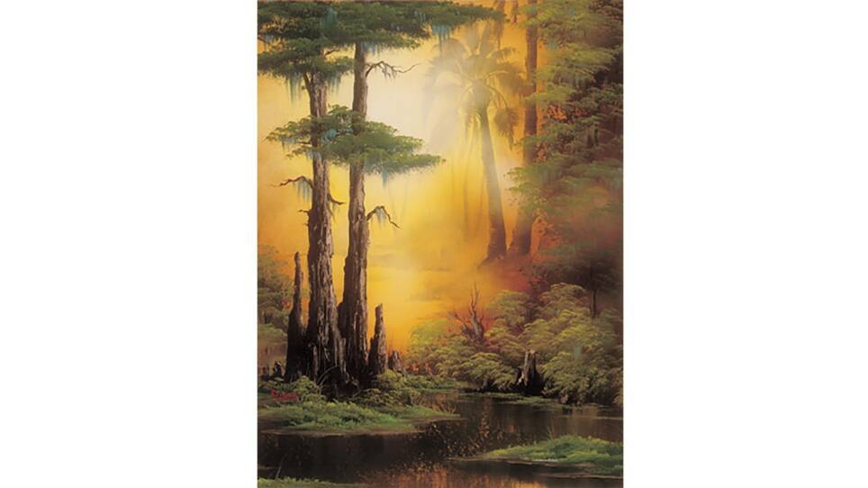 Cypress Creek