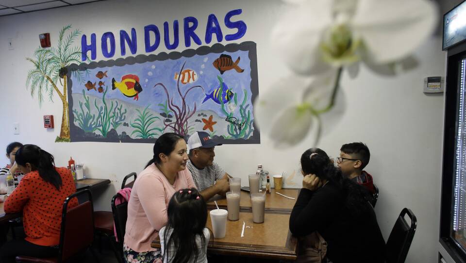 Immigration Shifting Demographics