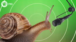 Music from the Golden Ratio and Fibonacci Sequence