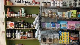 The interior of The Mushroom Shop in Somerville.