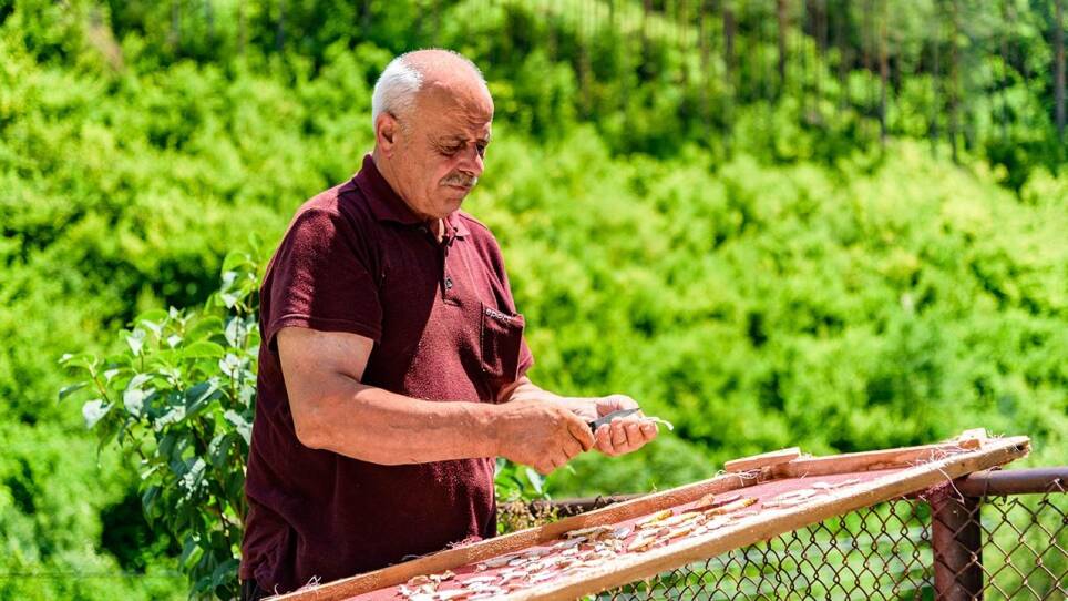 Food - Delicious Science Season 1