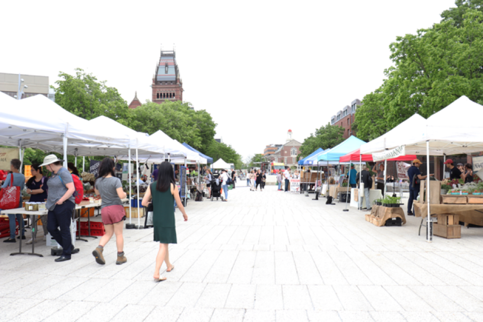 About a dozen people walk in between rows of pop-up tents in a plaza.