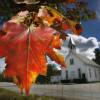 Fall Foliage Forecast