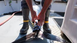  Keper Connell with a 400-pound bluefin tuna he caught in the Gulf of Maine. This fish will end up in a tin, sold under the brand name Gulf of Maine Conservas.