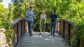 First 10 Minutes of Now Hear This "Chopin"