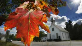 Fall Foliage Forecast