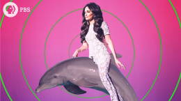 How Kacey Musgraves Changed Country With  "Golden Hour"