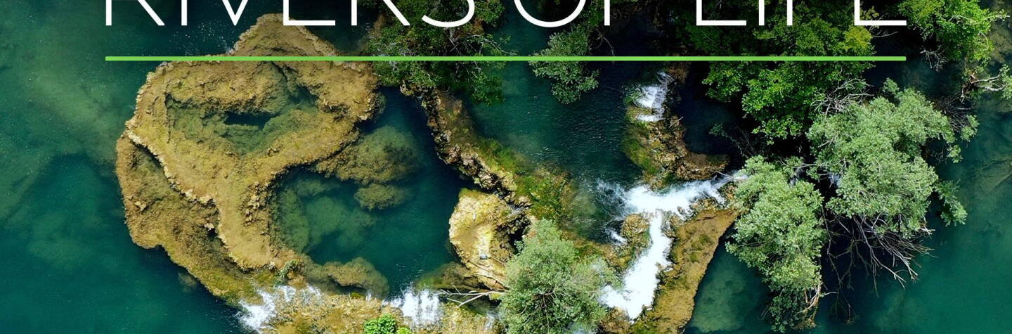 Rivers of Life