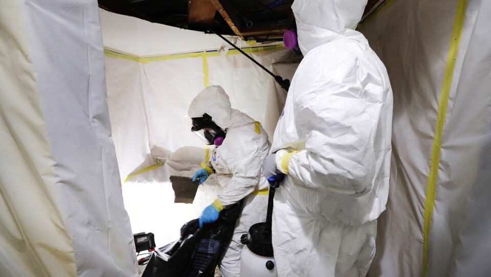 Asbestos Removal Kennesaw Ga