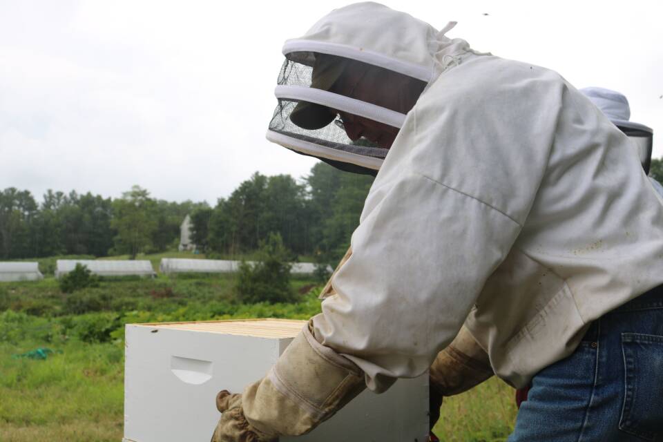 Lee Alexander says this season has been especially challenging for his hives.