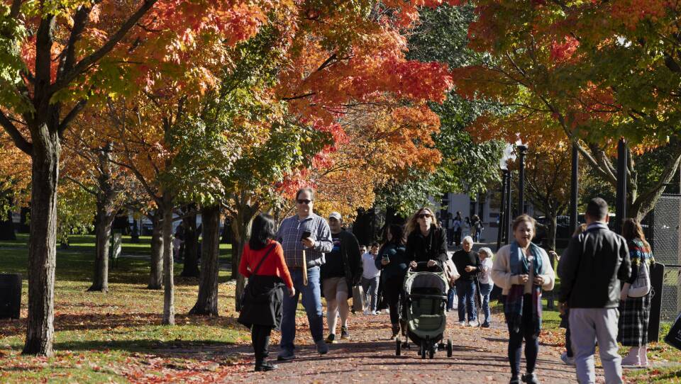 People milling about a walkway in a park, surrounded by trees with green, orange, and yellow leaves.