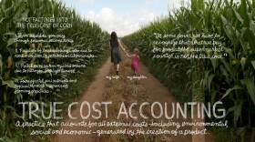 True Cost Accounting: The Real Cost of Cheap Food