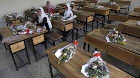 Afghanistan Civilian Casualties