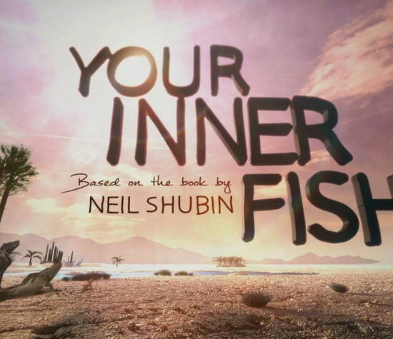 Your Inner Fish