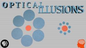 Can You See These Optical Illusions?