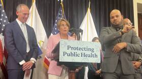 A woman with short brown hair, wearing a pink blazer, talks into a microphone. She stands in front of Massachusetts and U.S. flags and there is a man in a suit on either side of her.