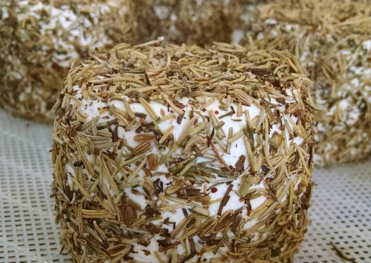 couetfarm-fran-de maquis-cheese.jpg