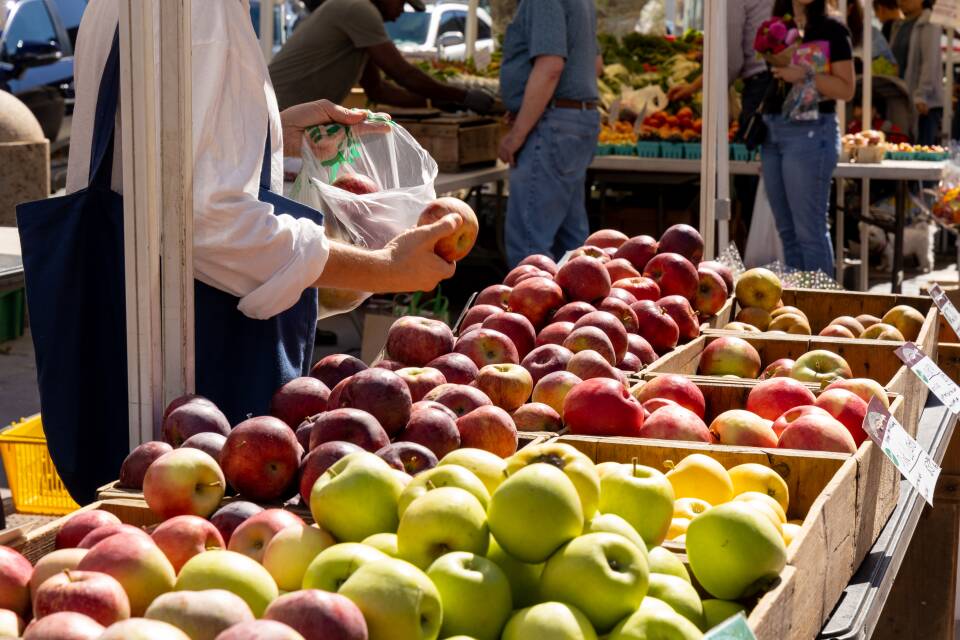 A person picks up an apple from one of several cartons.