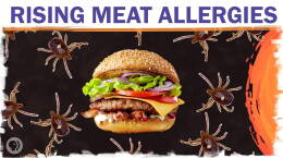 Could climate change make you allergic to meat?