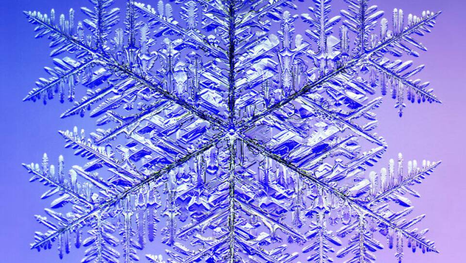 This 10.0 mm (0.4 inches) monster snowflake holds the Guinness record for the largest snow crystal. A microscope was used to photograph it in four quadrants, which were later digitally recombined.