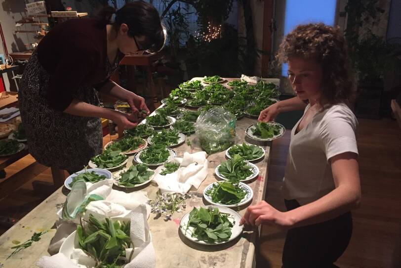 Two women help prepare the foraging banquet. Plates of greens are spread out on a table.