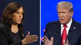 Kamala Harris and Donald Trump both gesture with their hands as they speak emphatically during events.