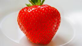 strawberrysm.jpg