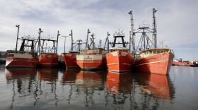 Fishing Vs Offshore Wind