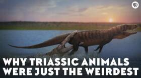 Why Triassic Animals Were Just the Weirdest