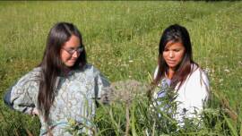 Now streaming: Growing Native