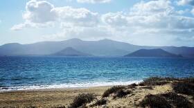 Fresh From Farm to Sea