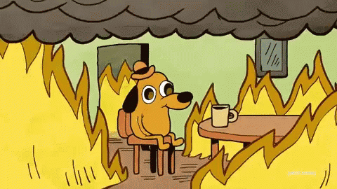 An animated dog sits in a burning room and says "this is fine."