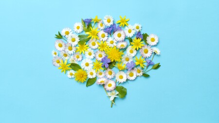 Flowers and leaves forming brain shape on blue background.