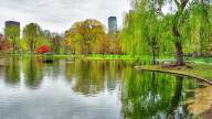 boston_park.jpg