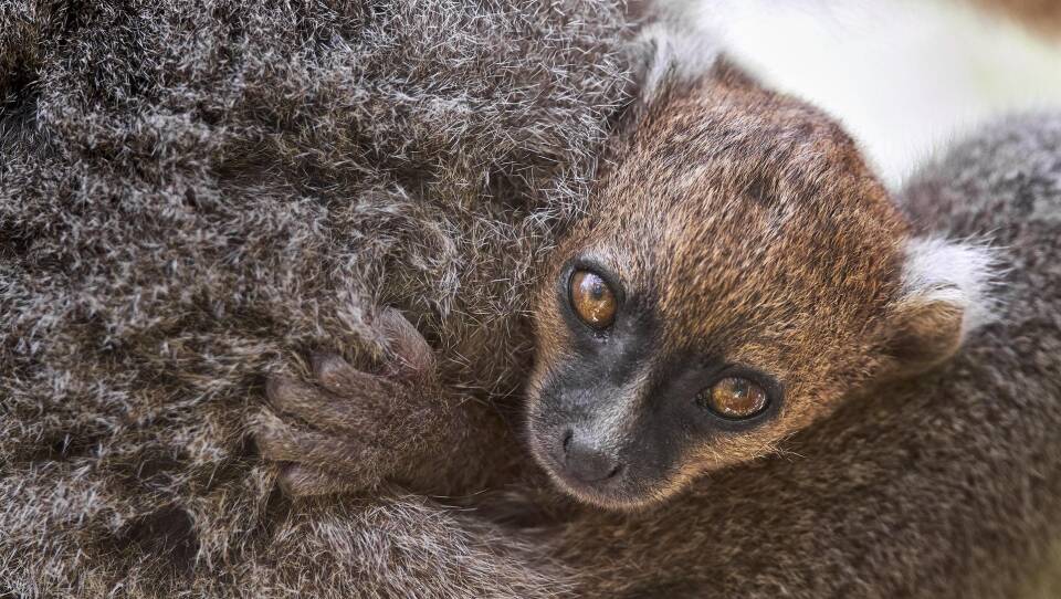 Islands of Wonder Season 1