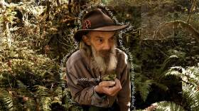 What is Sustainability?