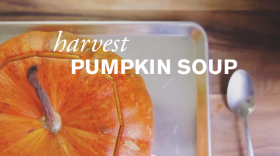 Harvest Pumpkin Soup