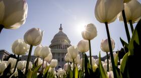 APTOPIX Virus Outbreak Washington