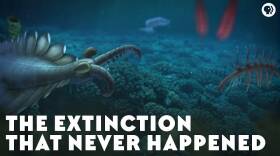 The Extinction That Never Happened