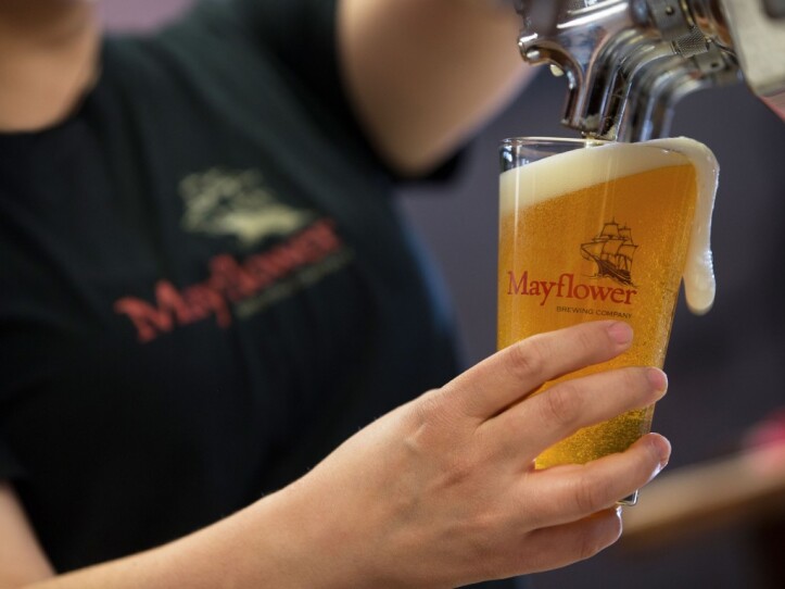 A pint being poured, at the tasting room at Mayflower Brewery in Plymouth.